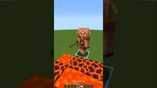 Piglin IQ Test in Minecraft😱 もういいよ [upl. by Annawyt]