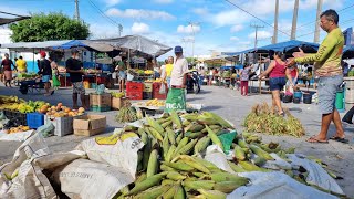 FARTURA NA FEIRA LIVRE DE AGRESTINAPE COM PRODUTOS FRESQUINHO DIRETO DA ROÃ‡A [upl. by Onra]