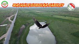 Wajaale Gobolka Gabiley [upl. by Broderick]