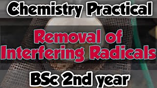 Removal of Interfering Radical  Chemistry practical  BSc 2nd year [upl. by Sarette]