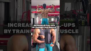 Increase Pullups by training this Muscle [upl. by Liss]