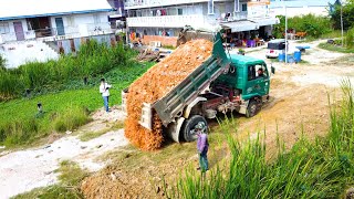 Start New Project Landfill Flooded in Develop Area Operate by Bulldozer Pus h Stone amp 5Ton Truck [upl. by Rebe]