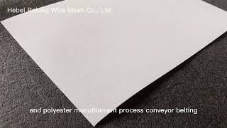 polyester plain weave square hole mesh belt [upl. by Nylasoj]