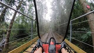 Zip World Fforest  Alpine Coaster  North Wales  Snowdonia [upl. by Tamarah560]