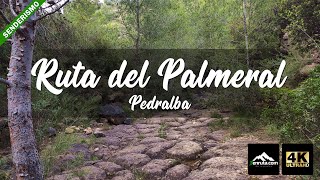 Ruta del Palmeral de Pedralba  Senderismo en Valencia [upl. by Llenor]