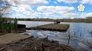 Elsecar Reservoir Walk in full 4K Video Ultra HD [upl. by Adelpho]