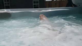 16ft SWIM SPA HYDROPOOL In Action [upl. by Llenyt]