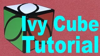 How to Solve the Ivy CubeCubominx Beginners Method [upl. by Camus202]