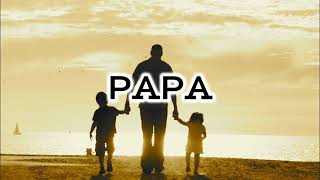 Papa meri jan animal  papa songs hindi  papa songs status Father’s Day special song fathersday [upl. by Salomo]