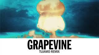 Tiësto  Grapevine Tujamo Remix [upl. by Larson]