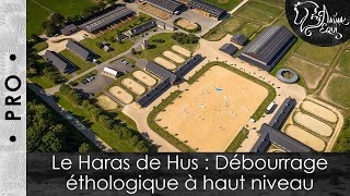 • PRO • Le Haras de Hus  Débourrage éthologique à haut niveau [upl. by Souvaine345]