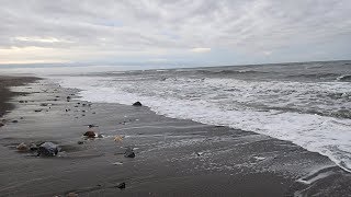 Metal Detecting on the Beach in Alaska  Nugget Noggin [upl. by Anaujal384]