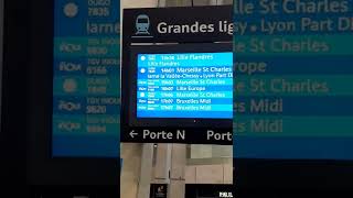 Arrive et départ GARE de aéroport roissy Charles de gaulle TGV [upl. by Puglia]