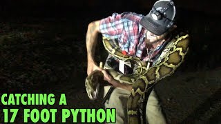 Catching A Monster Python In The Florida Everglades [upl. by Asatan31]