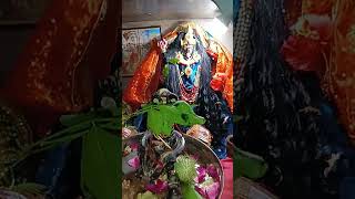 Shiv Shakti ek hi love happy funny kali lovesong diwali holi [upl. by Marteena889]