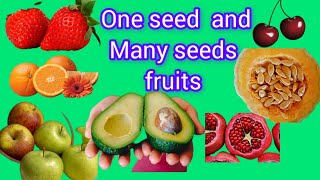 fruits with one seed and many seeds  fruits with one seed and many seeds for kids  kindergarten [upl. by Erminna]