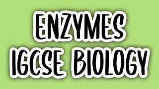 Enzymes 5  IGCSE BIOLOGY 0610 [upl. by Aniara532]