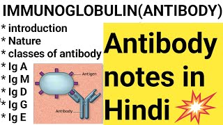 IMMUNOGLOBULIN notes in Hindi ANTIBODY Ig GIg MIg AIg D Ig E lecture in Hindiantibody notes [upl. by Rochell]