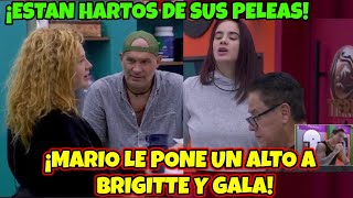 MARIO LE PONE UN ALTO A BRIGITTE Y GALA YA ESTAN HARTOS DE SUS PELEAS LA CASA DE LOS FAMOSOS MÉXICO [upl. by Knight]