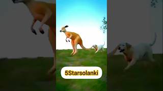 How Safe Kangaroo By the Dog🐕 3danimation animals short [upl. by Drof]