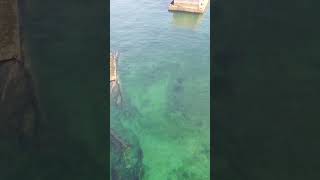 Aerial view of amazing concrete caissons of the WW2 Mulberry Harbour in Arromanches Normandy dday [upl. by Adnolrehs]