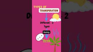 Types of Transpiration shorts ytshorts transpiration type science stomata pritiduhanofficial [upl. by Singh487]