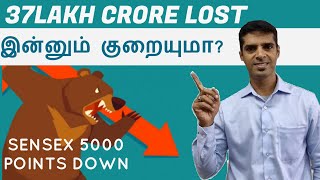 2024 Tamil Stock Market Showdown Correction vs Crash [upl. by Jacinto]