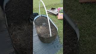 Sowing seeds growingincontainers garden gardening greenhouses [upl. by Marsden354]