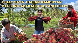 PANEN RAMBUTAN DI KEBUN UNTUK DI JUAL KIRAKIRA BERAPA HASIL YANG KAMI DAPAT [upl. by Airod66]