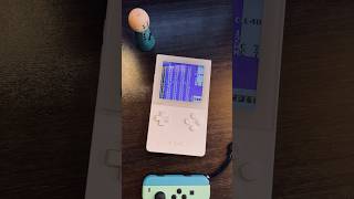 pollo canzone chiptune fatta con il Gameboy [upl. by Faydra]