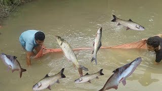 Amazing fishingNat Fishing in Nabigonj Bangladesh [upl. by Eleni]