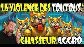 LA VIOLENCE DES TOUTOUS Deck Chasseur Aggro [upl. by Niarbo]