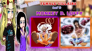 One Piece  Female Villains  Boa react to Luffy  Joyboy Gear 5  Chu Gacha Reacts 🇧🇷🇷🇺🇺🇲 [upl. by Elwina]