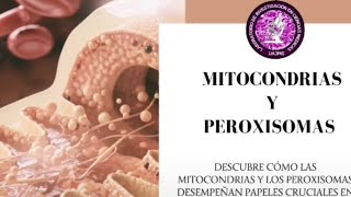 Mitocondrias y Peroxisomas [upl. by Eldon251]