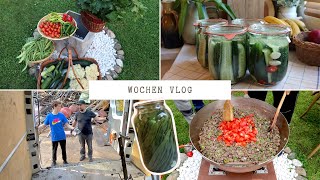 So viel Gemüse aus dem eigenen Garten 😍 Unser Schwager Kocht für uns  Gemüse Fermentieren  VLOG [upl. by Lirpa]