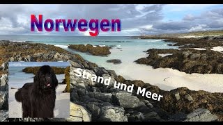 Rundreise Skandinavien Stellplatz und Strandspaziergang am nördlichsten Festlandpunkt vlog 17 [upl. by Phelgon]