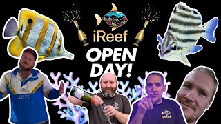 New Saltwater Aquarium Shop Tour UK  iReef Rochdale [upl. by Anillek]