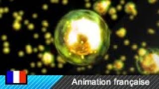 Fission nucléaire Animation [upl. by Ayotan]