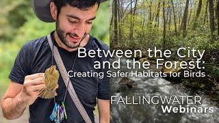 Fallingwater Webinar  Between the City and the Forest Creating Safer Habitats for Birds [upl. by Nauqad]