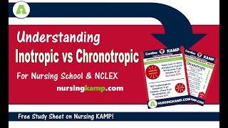 What are Cardiac Inotropic Chronotropic Medications NCLEX ICU Nursing KAMP [upl. by Nomsed]