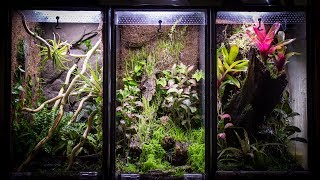 Aquarium to 10 Gallon Vertical Vivarium [upl. by Leunam]