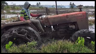 Tafe 45 di 44 tractor stuck in mud කොහොමද වගල sri lankasrilanka [upl. by Strephonn]