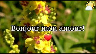 SMS Damour 🌺pour dire je taime [upl. by Aicilegna]