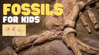 ASL Fossils for Kids [upl. by Ola]