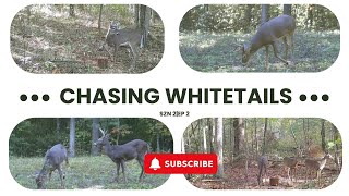 Chasing Whitetails SZN 2EP 2 [upl. by Ecissej370]