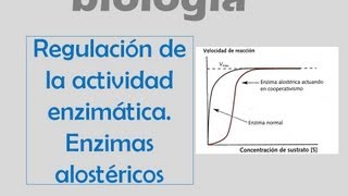 Regulación de la actividad enzimática Enzimas alostéricas [upl. by Currey]