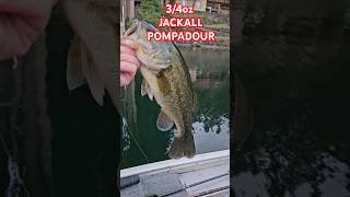 Pompadour Eater topwater bassfishing bass fishing shortsvideo shorts bassfishinglife [upl. by Eseuqcaj]