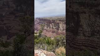 Grand Canyon National Park nature cliff grandcanyon fyp [upl. by Annoynek726]