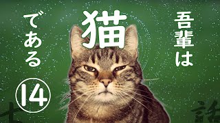 【朗読】吾輩は猫である14／夏目漱石 [upl. by Adda]