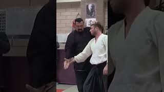 Steven Seagal Aikido Techniques  Aikido for real fight [upl. by Hendren382]